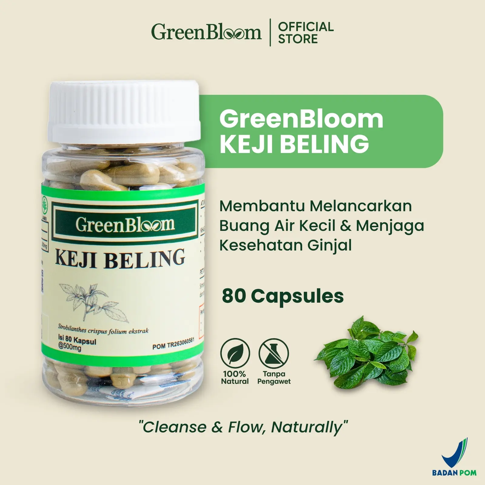 GreenBloom Keji Beling 80 Kapsul - Batu Ginjal Kencing Batu Saluran Kemih Anyang-anyangan Herbal BPOM